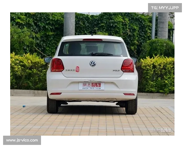 VW的铁粉 购置POLO 1.4L手动风尚版 VW的铁粉 购置POLO 1.4L手动风尚版